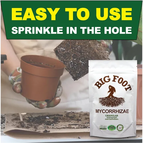 Miniatura 3 de Big Foot Hongos micorrícicos granulares para trasplantes - para todas las plantas - Estimulador de raíces fácil de usar - Trata 1200 plantas