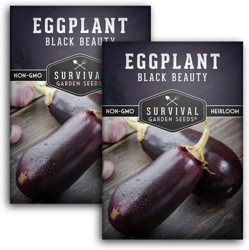 Miniatura 10 de Black Beauty - Semilla de berenjena para plantar, 1 paquete con instrucciones para cultivar plantas de berenjena morada en el huerto de tu hogar