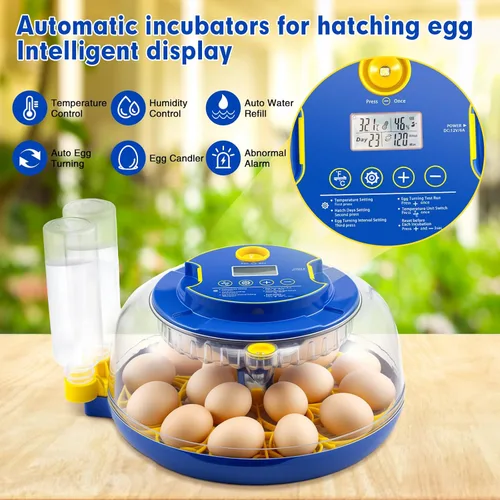 Miniatura 2 de Incubadora automática de 18 huevos con control de temperatura y humedad, incubadoras para incubar huevos, pollo, patos, ganso, paloma, codorniz