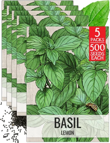Miniatura 37 de Seed Needs Semillas de albahaca para plantar hierbas de albahaca tailandesa, sin OMG y semillas de hierbas sin tratar para cultivar un jardín