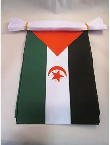 Miniatura 101 de AZ FLAG Señal marítima internacional 42.7 ft BUNTING Flag 40 banderas 9'' x 6'' - Banderas de cuerda del alfabeto náutico 5.9 x 8.3 in