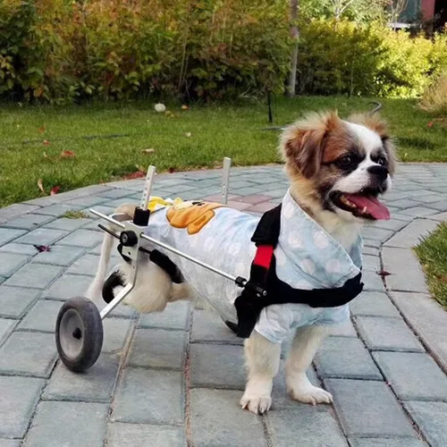 Miniatura 4 de Pet Supplies Lightweight Wheelchair Dog for Back Legs Adjustable Aluminum Alloy Assisted Pet/cat/Dog Walk Tool