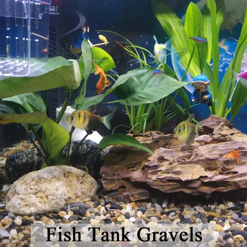 Miniatura 5 de FANTIAN 2 libras de grava para acuario, grava de guisante de 1/4 pulgada para pecera, piedras decorativas de río para plantas suculentas, jarrón