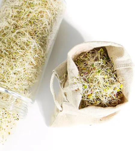 Miniatura 4 de Sproutman Bolsa de brotes de cáñamo: simplemente sumerge en agua, cuélgala y mira cómo crece