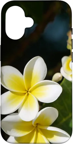 Miniatura 31 de iPhone 12/12 Pro Plumeria Flower - Carcasa amarilla