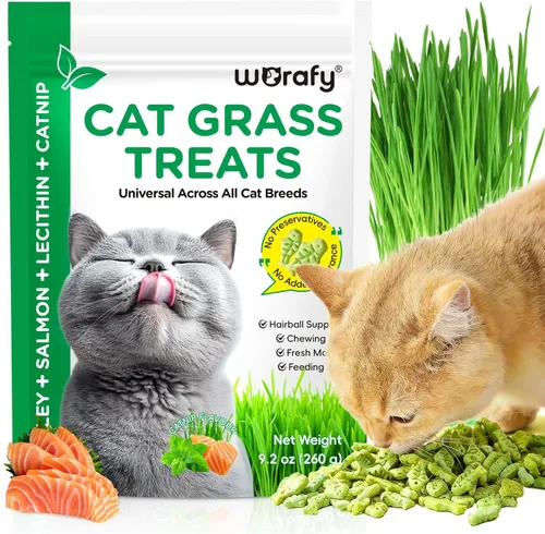 Miniatura 10 de ISUNRISE Golosinas de hierba para gatos, aceite de pescado para gatos de interior, control de bolas de pelo y limpieza de dientes, comestible
