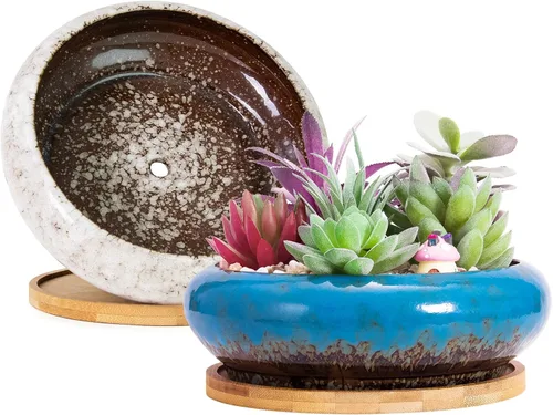 Miniatura 9 de ARTKETTY Macetas para suculentas de 7.3 pulgadas con drenaje, paquete de 2, macetas poco profundas para bonsái con bandeja de cerámica para plantas