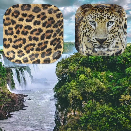 Miniatura 5 de Havercamp Fiesta temática de leopardo para 16 invitados (32 piezas) Incluye 16 platos llanos y 16 platos laterales. Leopardo fotorealista para un