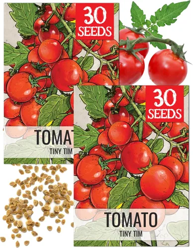 Miniatura 17 de Seed Needs Semillas de tomate cereza negra para plantar, reliquia sin OMG y sin tratar, variedad indeterminada para plantar un huerto al aire libre