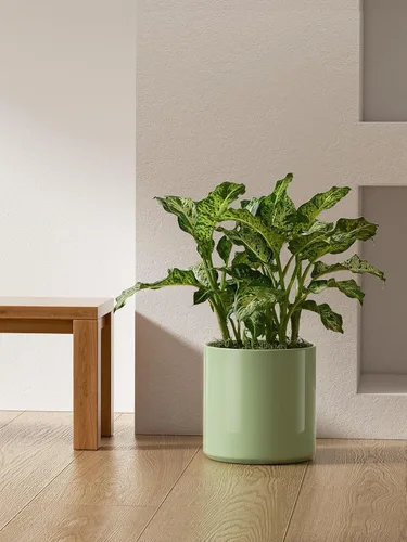 Miniatura 6 de LE TAUCI Maceta de 12 pulgadas para plantas, macetas de cerámica para plantas de interior, macetas cilíndricas modernas de mediados de siglo