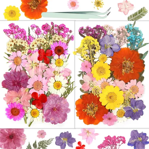 Flores Secas, Resiners 58 Piezas Flores Prensadas para Manualidades Rosa Flores Secas Naturales Reales Kit de Hojas Secas para DIY Hacer