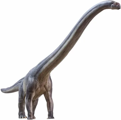 Miniatura 15 de PNSO Serie de Museos de Dinosaurios (Ron The Mosasaurus 1:35 Modelo de Arte Científico)