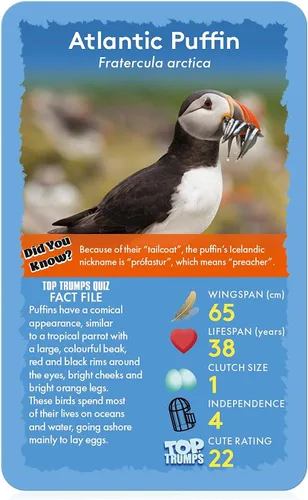 Miniatura 2 de Top Trumps Birds of the World Classics - Juego de cartas para descubrir algunos datos interesantes en este juego educativo lleno que incluye