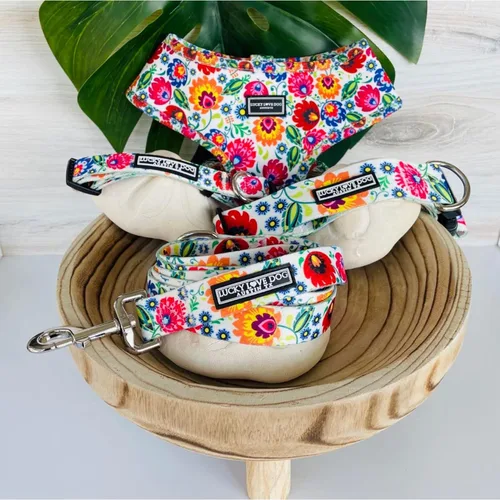 Miniatura 4 de Lucky Love Dog - Collar para perras pequeñas, medianas y grandes, parte de la compra se dona a rescates, diseño Ladybird, talla XS Collar