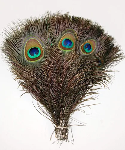 50 plumas naturales de pavo real: varios tamaños (10-12 pulgadas)