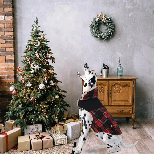 Miniatura 7 de Abrigo de invierno para perros pequeños y medianos, chaqueta a cuadros para cachorros, abrigo de algodón para clima frío, prendas cálidas y Rojo