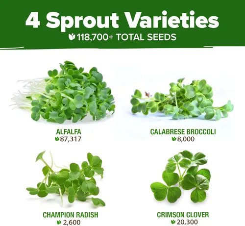 Miniatura 2 de HOME GROWN Mezcla de semillas germinantes de primera calidad, microgreens 118,200 semillas para cultivo en interiores, brócoli, alfalfa, rábano