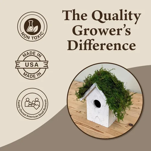 Miniatura 2 de Musgo de hoja preservado - Musgo decorativo natural - Musgo seco para manualidades, decoración del hogar, proyectos de arte, diseño y bricolaje - No