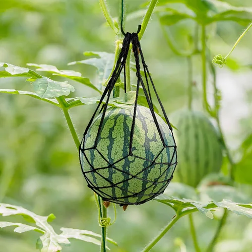 Miniatura 6 de Paquete de 10 hamacas de melón con redes de sandía, hamaca de melón para enrejado de alta resistencia, perfecta para cultivar melón negro