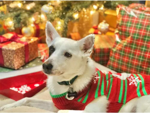 Miniatura 3 de NACOCO Dog Snow Sweater - Snowman Holiday Xmas Christmas Pet Clothes for Small Dog and Cat (Snowman, S)