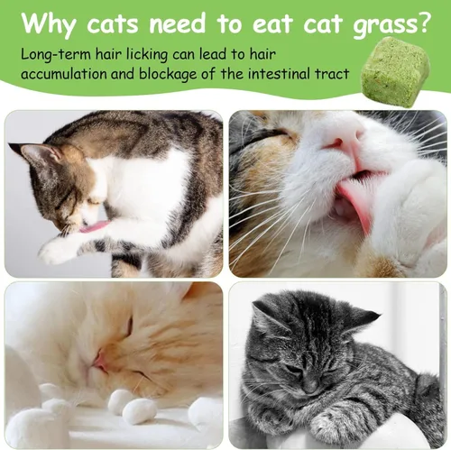 Miniatura 3 de 60g de hierba gatera para gatos, snacks de hierba gatera deshidratados al congelar para la dentición de gatitos, juguetes masticables comestibles