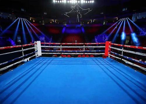 Miniatura 5 de Telones de fondo de anillo de boxeo para fotografía de 5 x 3 pies, para niños, niños, fiesta de cumpleaños, retrato de adultos, cartel de fiesta