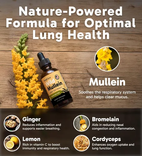 Miniatura 3 de Gotas de gordolobo totalmente naturales con jengibre y limón para limpieza y desintoxicación pulmonar, extracto de hoja de gordolobo para la salud