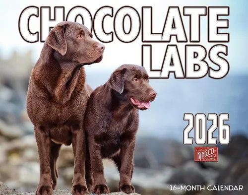 The KING Company-Monster Calendars - Calendario de pared de perro labrador de chocolate 2026, 16 meses, tamaño XL, 14 x 22 pulgadas, calendario de