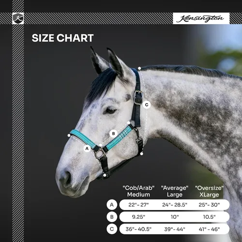 Miniatura 3 de Kensington Premium Nylon Halter Tamaño: XL-Lrg. Color del caballo: 2019 - Imperial Jade 2-2019 - Imperial Jade