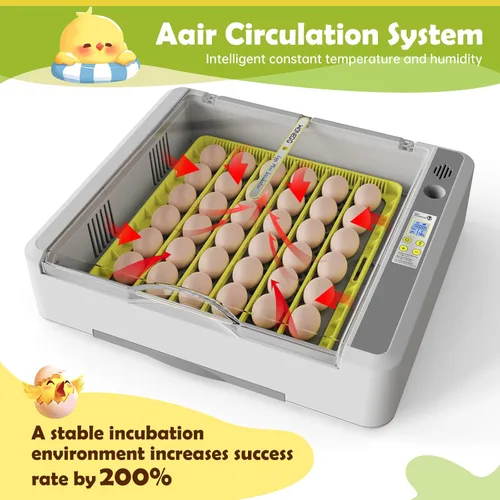 Miniatura 2 de Incubadora de huevos para incubar pollos, girador automático de 36 huevos con control de temperatura y humedad, vista panorámica multifuncional