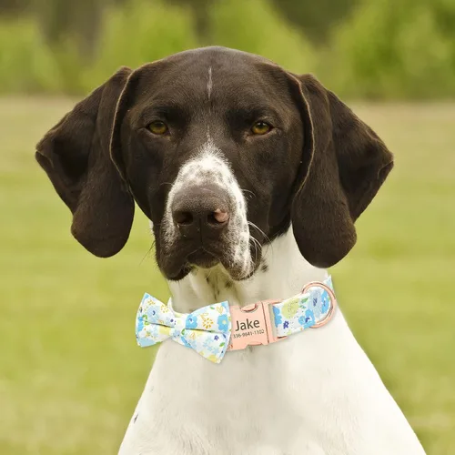 Miniatura 4 de Collar de perro con bonito lazo personalizado con nombre, collar floral personalizado con hebilla dorada grabada para perras pequeñas, medianas
