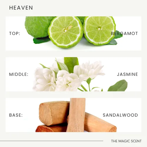 Miniatura 6 de The Magic Scent Aceite Difusor de Fragancia Cielo - Aceite de Fragancia de Aire Frío y Ultrasónico para Difusor Inspirado en El Hotel Aria, Las