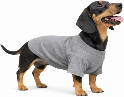 Lovelonglong Ropa para mascotas, disfraces para perro, ropa de perro salchicha, camiseta en blanco para perros salchicha, Corgi 100% algodón, gris,