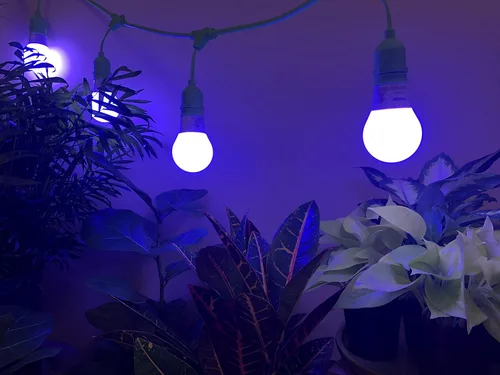 Miniatura 3 de Miracle LED Nanometer 450 - Kit de luces de cultivo para interiores, incluye 4 bombillas de repuesto Ultra Grow Blue Spectrum de 150 W y 1 accesorio