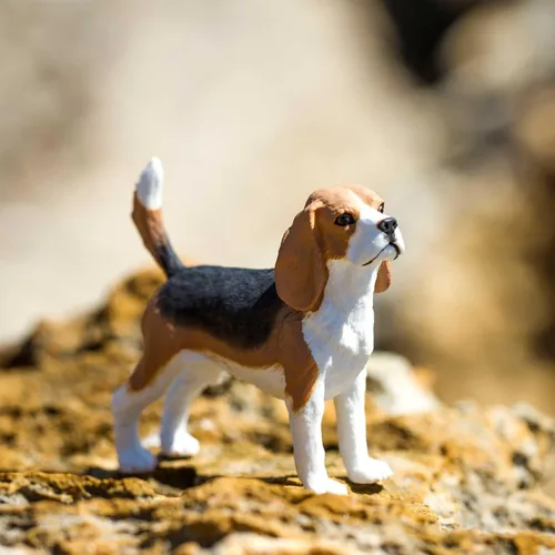 Miniatura 2 de Safari Ltd. Figura de Beagle – Figura detallada de plástico de 2.5 pulgadas – Divertido juguete educativo para niños, niñas y niños a partir de 3