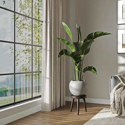 Miniatura 18 de DTY Fiberstone - Maceta tipo globo para interiores y exteriores, maceta esférica ligera para olivo, Monstera y palma, piedra de fibra de vidrio