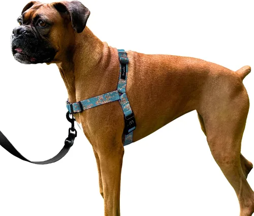 Miniatura 18 de ShawnCo Dream Walk Arnés para Perros Sin Tirones - Ajustable, Cómodo, Fácil de Usar, Cabestro para Mascotas para Ayudar a Detener los Tirones