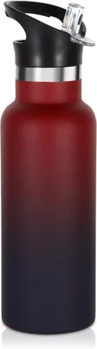 Miniatura 26 de Volhoply Botella de agua aislada para niños de 17 onzas, botellas de agua de acero inoxidable con tapa con pajilla, botella de agua de metal al