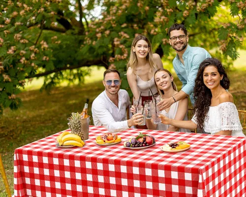 Miniatura 6 de Oudain 162 piezas de suministros de fiesta a cuadros para 20 invitados, 2 manteles a cuadros a cuadros, platos, vasos, servilletas, cuchillos