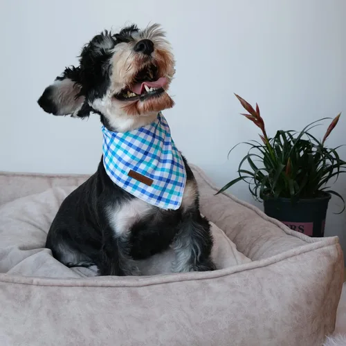 Miniatura 5 de Bandana de verano para perros, bufanda triangular de rejilla de algodón cómoda para perros medianos y grandes, pañuelo lavable para mascotas