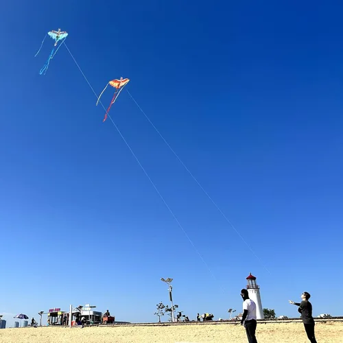 Miniatura 6 de Mint's Colorful Life Cometa de dragón para niños y adultos, fácil de volar, las mejores cometas de playa para principiantes, cuerda de cometa de 300