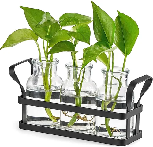 Mkono Estaciones de propagación con soporte de metal, plantas de escritorio, terrario de vidrio, jarrón para plantas hidropónicas, corte de flores,