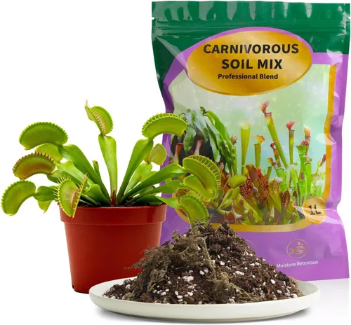 Miniatura 11 de Suelo natural puro para macetas para plantas de bambú de la suerte, 1 cuarto de galón, drenaje superior y transpirabilidad, suelo ideal para plantas