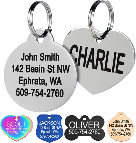 Placa de identificación para mascotas, de acero inoxidable, etiquetas personalizadas para perros y gatos, hasta 8 líneas de texto personalizado,