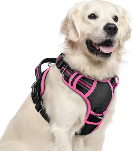 Miniatura 56 de rabbitgoo Arnés para perro de tamaño pequeño, chaleco para perro sin tirones con 3 hebillas, arnés ajustable y acolchado suave para mascotas con asa