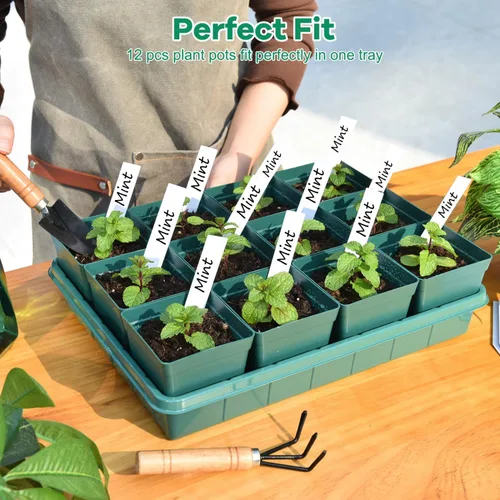 Miniatura 3 de June Fox 60 macetas pequeñas para plantas, kit de 5 bandejas de inicio de semillas, macetas de plástico de 3.3 pulgadas con bandejas de inicio