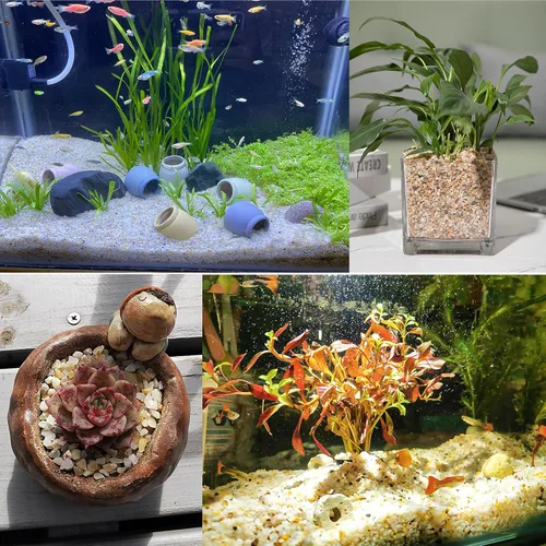 Miniatura 7 de Rocas de arena mixta de 5 libras, piedras pómez, enmienda de suelo para macetas, cactus suculentos, bonsái, roca arenosa, grava decorativa