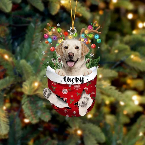 Miniatura 140 de Adorno de Navidad personalizado para perro Airedale Terrier en bolsillo de nieve, adorno para árbol de Navidad, idea de regalo para amantes