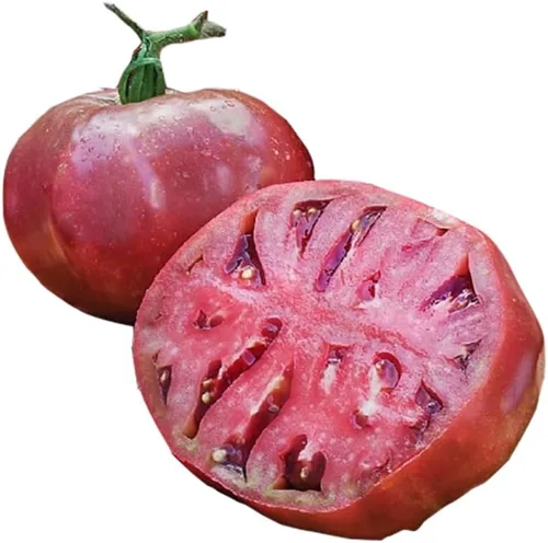 Miniatura 2 de Cherokee Purple Heirloom Semillas de tomate – Tomate grande – Uno de los tomates más deliciosos para el cultivo en casa