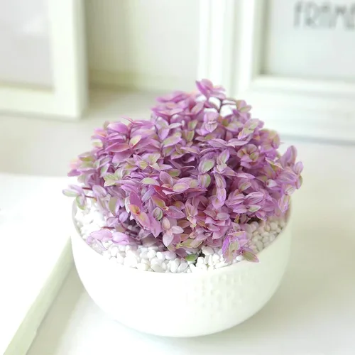 Miniatura 2 de Suculentas vivas Pink Lady (4 pulgadas), plantas suculentas totalmente enraizadas en macetas con tierra, planta de casa de fácil cuidado para Rosa